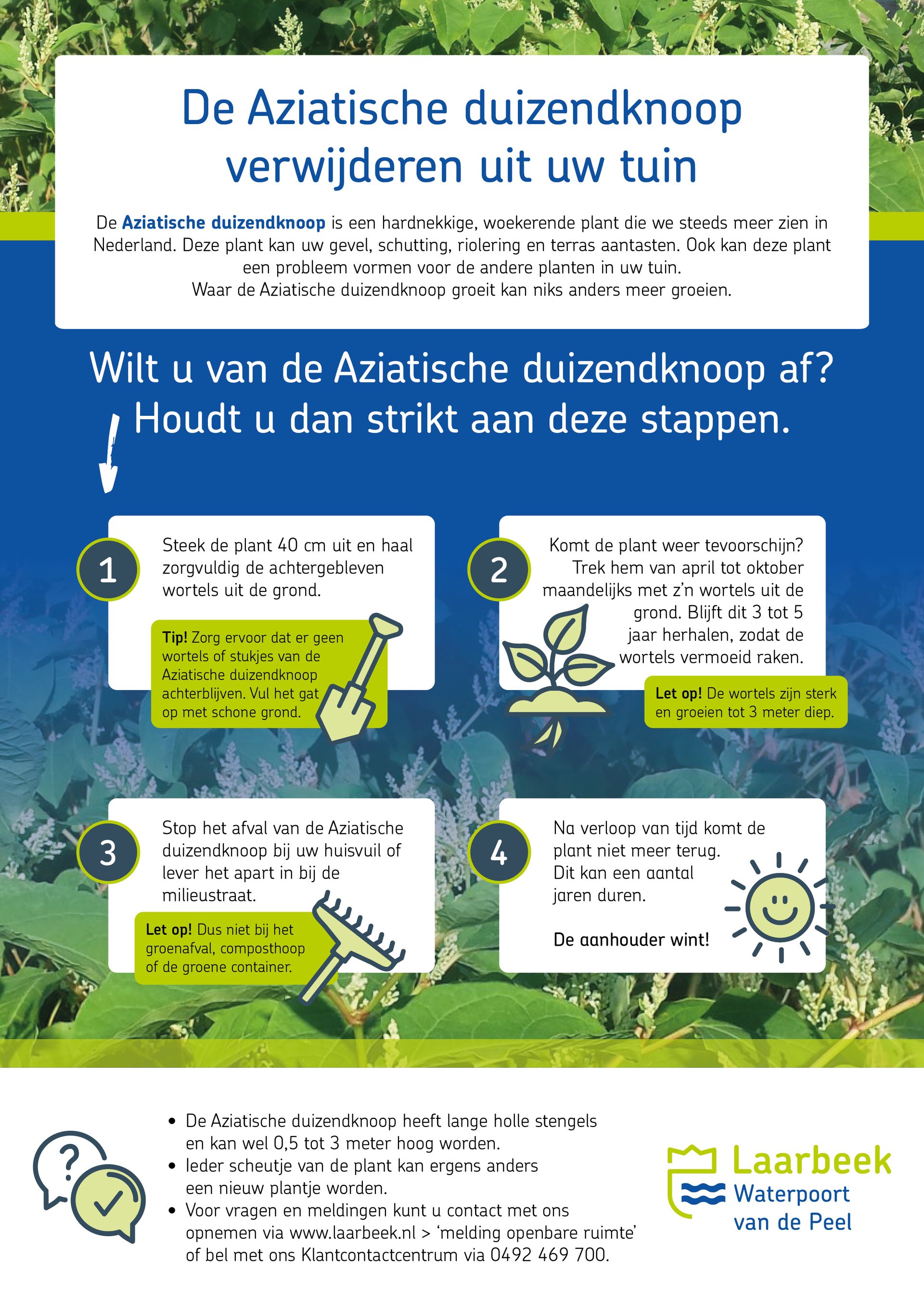 Aziatische duizendknoop verwijderen uit uw tuin