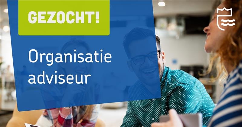 Organisatieadviseur